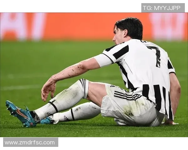 弗拉霍维奇：从新星崛起到足坛巨星的精彩旅程与未来展望